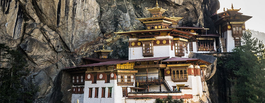 Paro