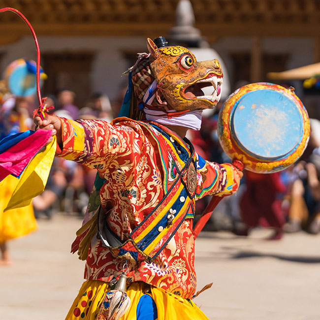 Festival Tours